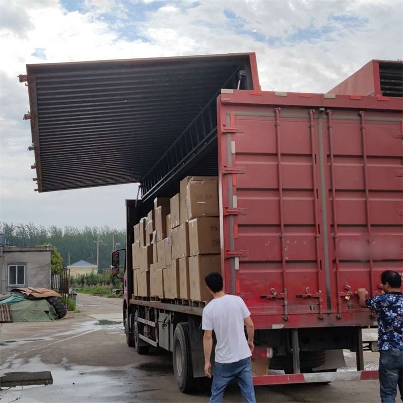 莒南县扎囊县：物流专线的高效货运之旅